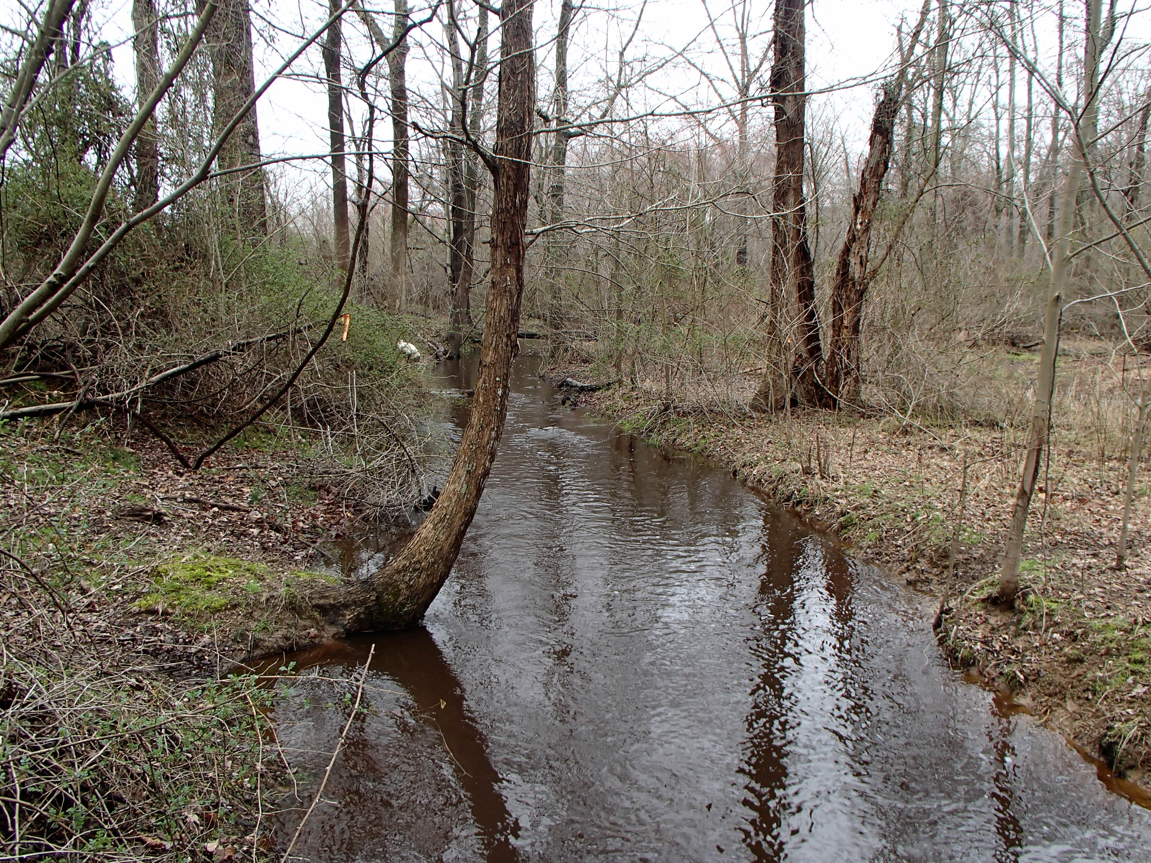 Field photo showing stream conditions at site LOCR-102-S-2016_Midpoint looking upstream